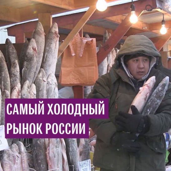 Самый холодный рынок России
