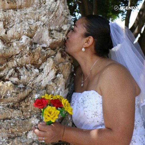 Женщины вышли замуж за деревья. Вы не поверите, зачем они это сделали