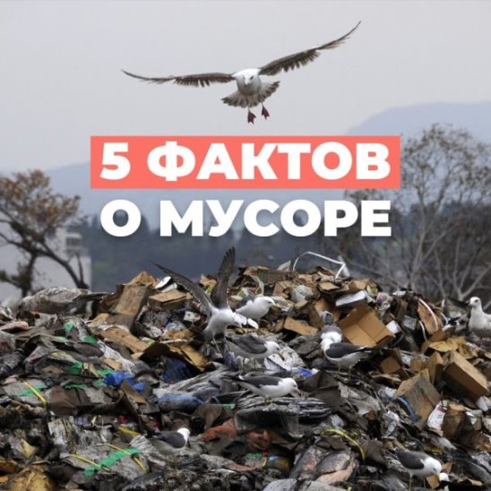 5 фактов о мусоре
