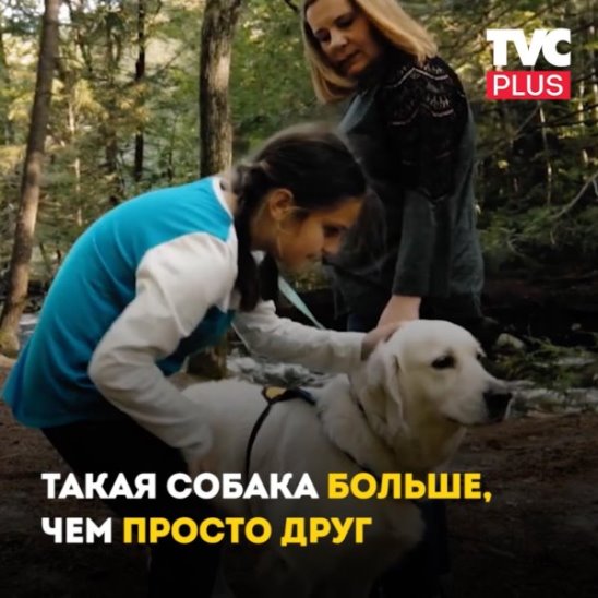 Собака помогает девушке