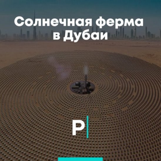 Солнечная ферма в Дубае смотреть онлайн Солнечная ферма в Дубае