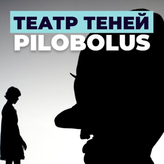 Театр теней Pilobolus смотреть онлайн Театр теней Pilobolus