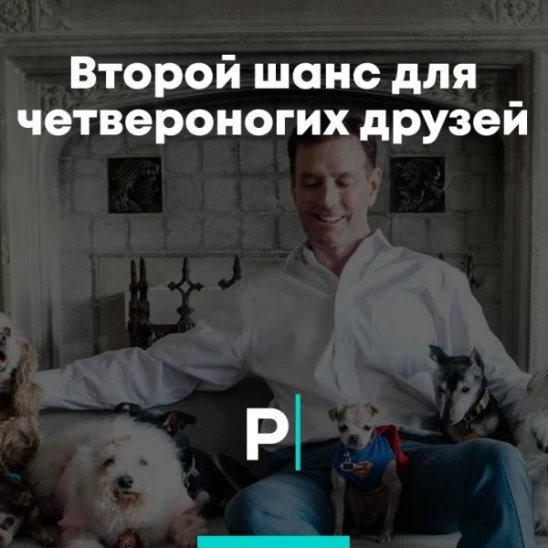 Второй шанс для четвероногих друзей смотреть онлайн Второй шанс для четвероногих друзей