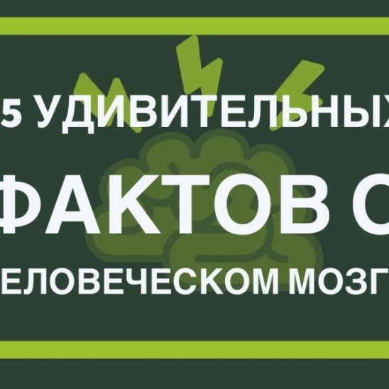 15 удивительных фактов о человеческом мозге