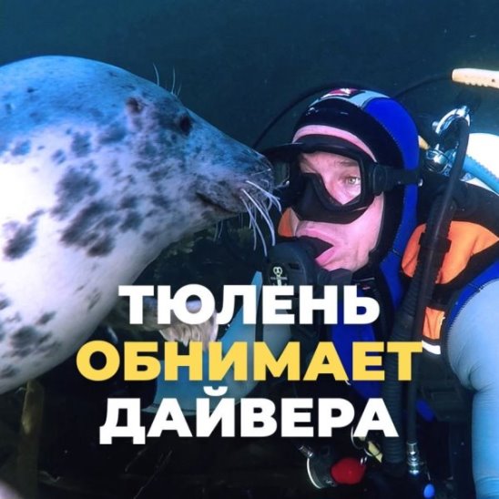 Эмоция квадрат смотреть онлайн Эмоция квадрат