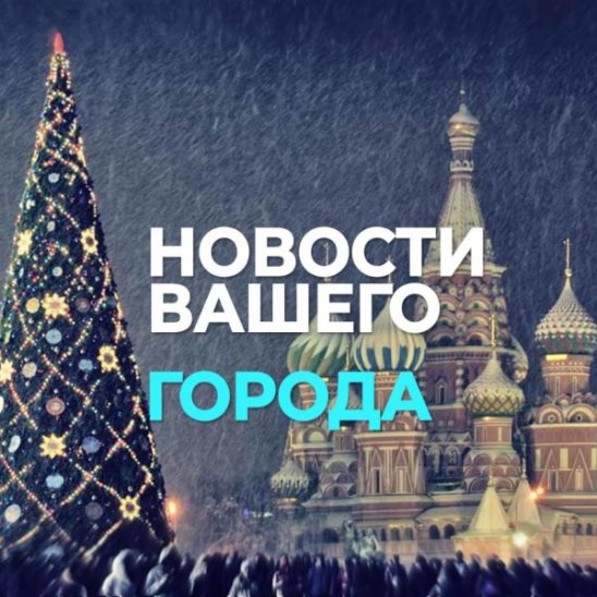 На Соборной площади Кремля завтра установят ёлку
