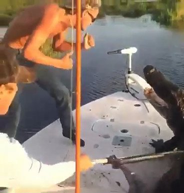 Как крокодил залез в лодку на рыбалке?! О_о