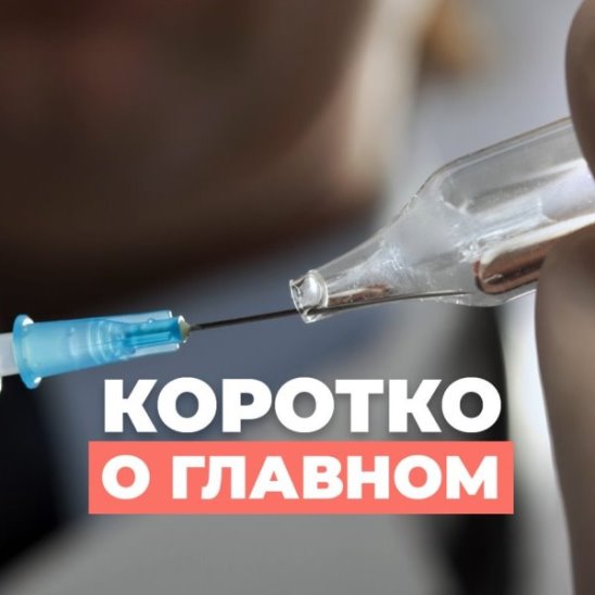 Умные иглы, Индия и Пакистан, Венеция смотреть онлайн Умные иглы, Индия и Пакистан, Венеция