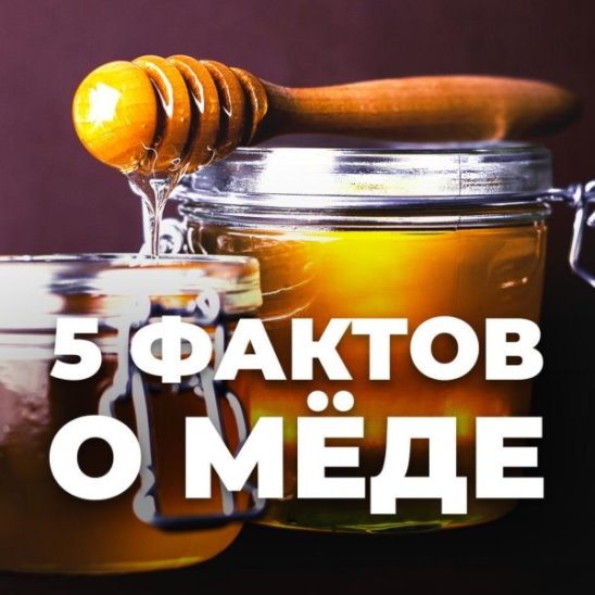 5 фактов о мёде смотреть онлайн 5 фактов о мёде