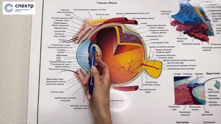 Спектральный офтальмологический аппарат АСО отзывы. Глазная клиника спектр clinicaspectr ru