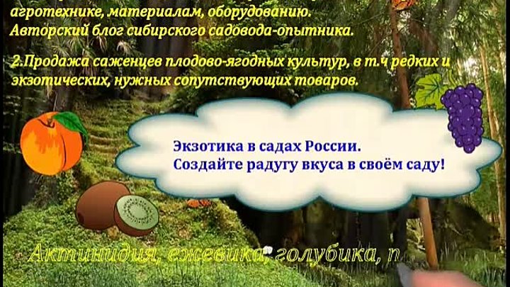 Садоводство Без Границ Интернет Магазин