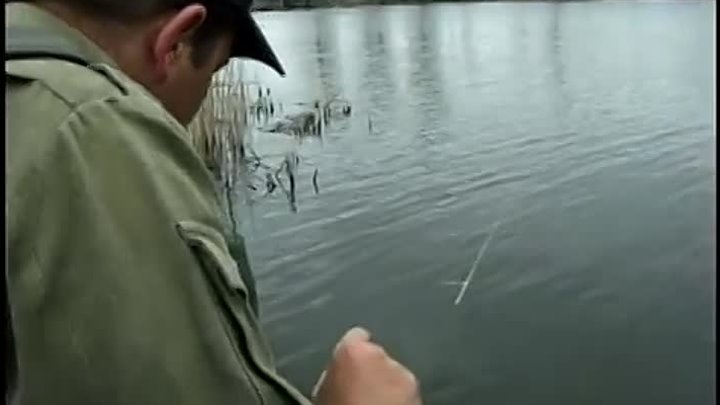 рыбалка видео карась на резинку