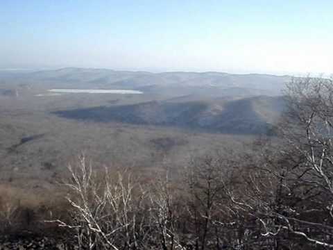 Гора горбуша