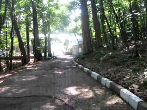 Ялта база отдыха учитель