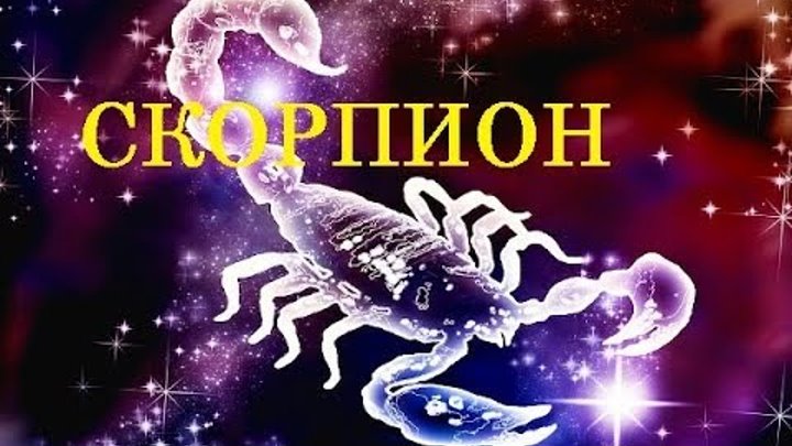 Гороскоп на май скорпион женщина