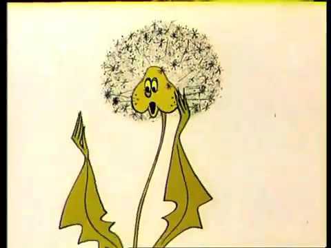 Одуванчик из мультика про щеки картинки