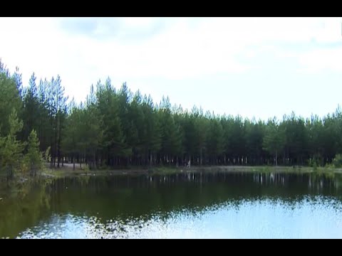 Теплый берег покачи