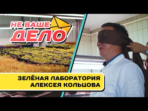 Не ваше дело