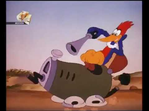 мультик вуди мультик новая версия. дятел вуди старый. дятел вуди голливудский матадор. морж из дятла вуди фото. вуди вудпекер и друзья 1982.