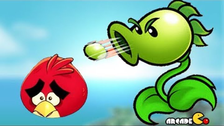 Растения против энгри. Angry Birds зомби. Angry Birds Plants vs Zombies. Angry Plants vs Doo. Angry Birds vs Mario.