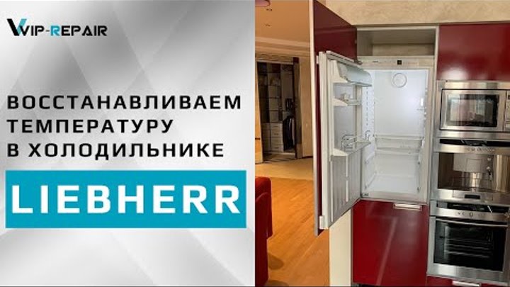 Температура в холодильнике Liebherr. Liebherr sgnes3010. Liebherr регулировка температуры. Холодильник Либхер регулировка температуры. Ремонт либхер в москве на дому холодильников