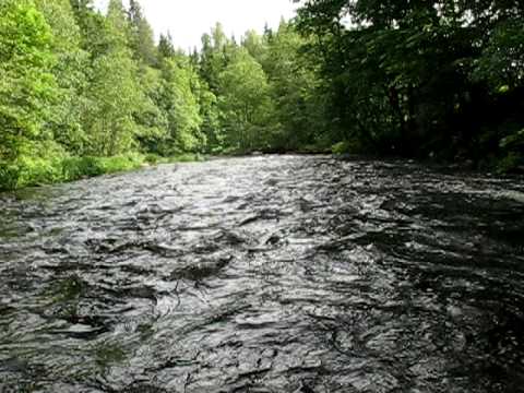 Река торопа