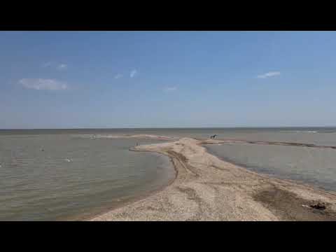 Пляж в камышеватской