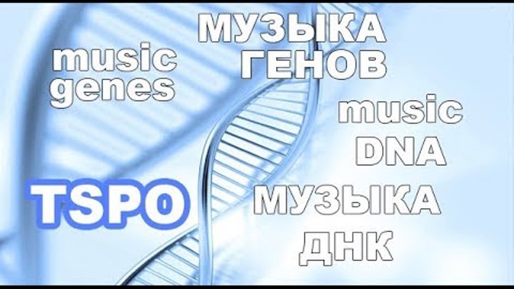 ДНК музыка. Песня DNA. DNA Music 1998. DNA Music 1999.