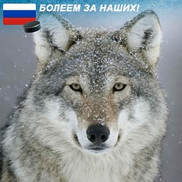 С днем рождения волк