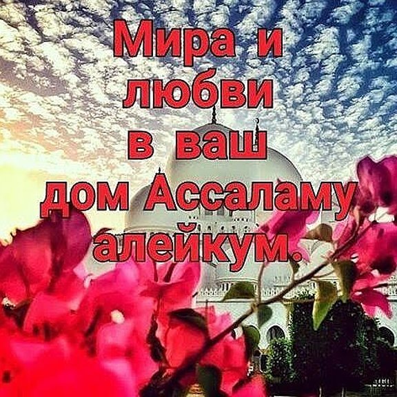 Субҳ бахайр
