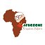 Afrozone Kingdom Safaris