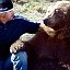 Михаил и Медведь