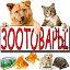 ZOO товары на заказ