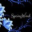 springwind46