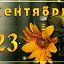 Рафаэль 11 Рафаэль