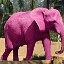 Розовый Слон Туристическая компания