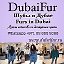 DubaiFur Шубы в Дубае