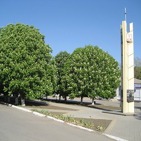 Фотография от Объявления в Щербиновском районе