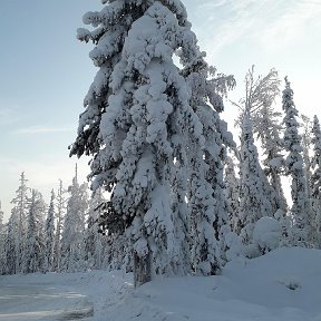 Фотография от сергей курский