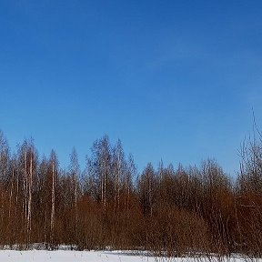 Фотография "Великолепный цвет неба. Желаю всем такого неба над головой"