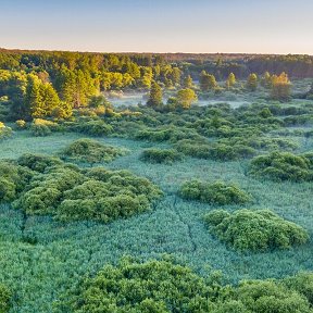 Фотография от Лукашевич Витёк