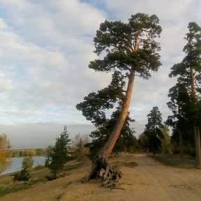 Фотография от Андрей Хлопонин