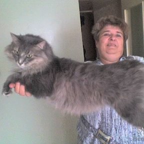 Фотография "Я и мой любимый котяра"