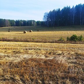 Фотография от Пётр Шашило