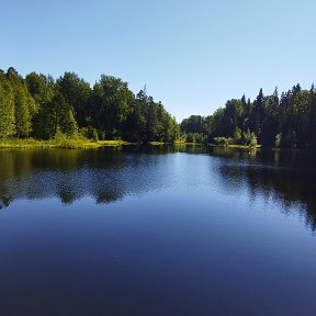 Фотография от Надежда Витина