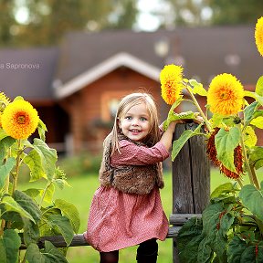 Фотография от Дача 🌻 Интерьер 🌻 Сад 🌻 Декор