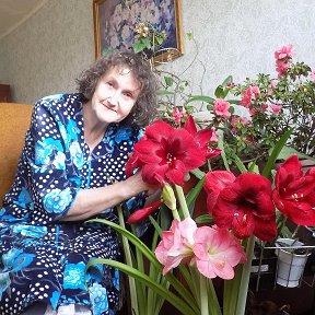 Фотография "Это я бабушка-старушка. Руками держу Ред Перл. Правее Цветет Гранд Дива а ниже-Сюзанка."