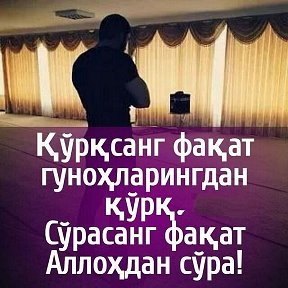 ფოტოსურათი მომხმარებლისგან: умиджон Ахмедов