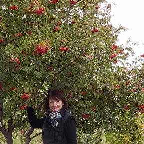 Фотография от Татьяна Подопригора (Чернякова)