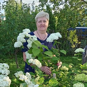 Фотография от Лариса Сиухина